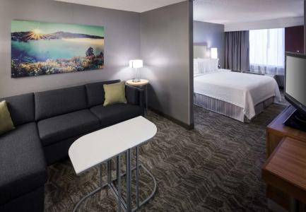 SpringHill Suites by Marriott ParkCenter - 3