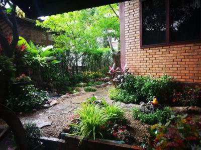 Boutique House Nipha - 12