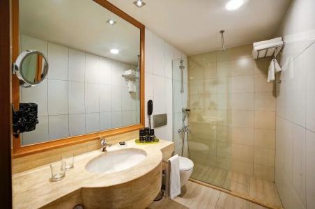 Divan Istanbul City - 10