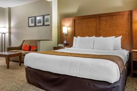 Comfort Suites Walnut Creek - 34