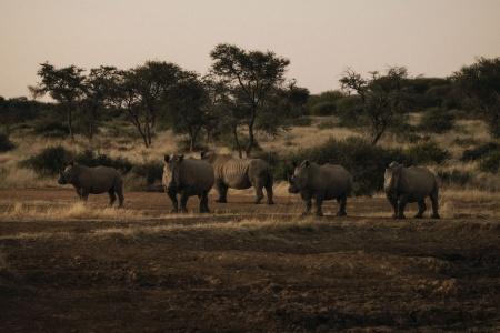 Habitas Namibia - 20