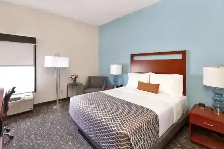 Best Western Plus - 110