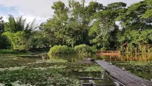 Saikaew Resort - 6