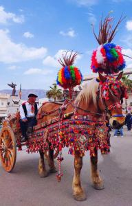 120 Rodionoff Palermo B&B - 14