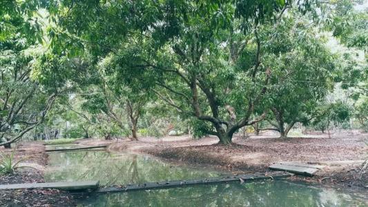 Warakorn Baansuan - 67