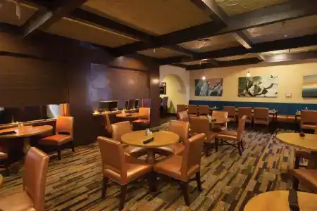 DoubleTree Suites by Hilton Tucson-Williams Center - 27