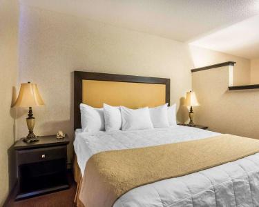 Quality Inn & Suites - 44