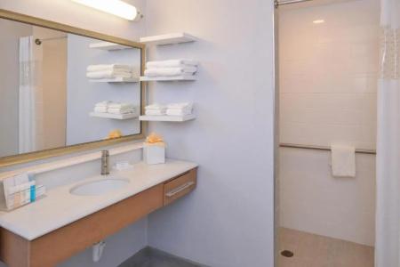 Hampton Inn & Suites Denver-Speer Boulevard - 85