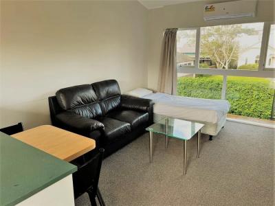 Ranfurly Evergreen - 24