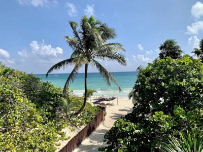 Libelula Tulum - 12