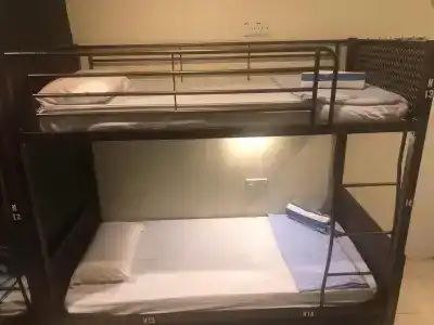 Alia Express Ferringhi - 26