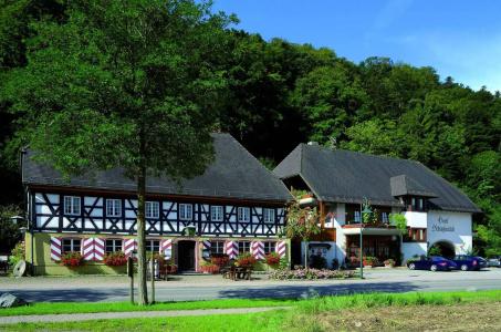 Schwarzwaldgasthof Schlossmühle - 3
