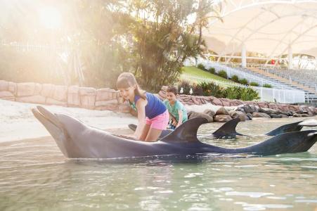 Sea World - 38