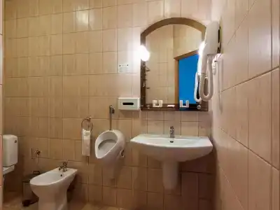 Золото Карпат - 33