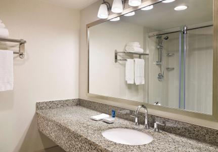 Four Points by Sheraton & Conference Center - 9