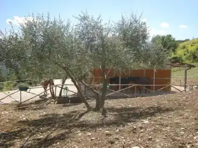 Agriturismo Goccia di Luna - 6