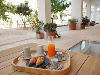 Canneddi Boutique Farm - 9