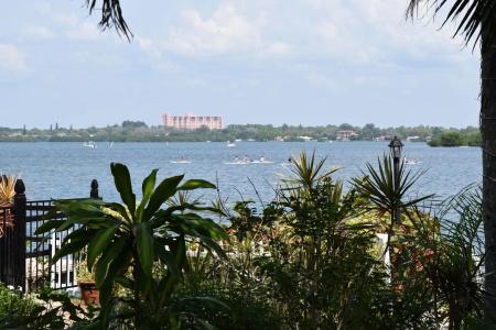 Turtle Beach - 8