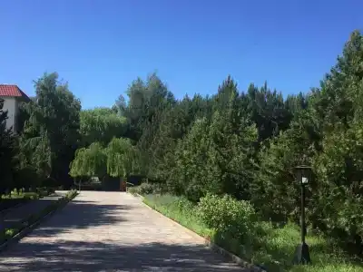 Тулпар - 14