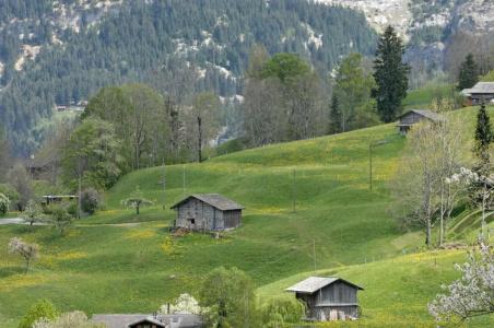 Aspen Alpine Lifestyle - 123