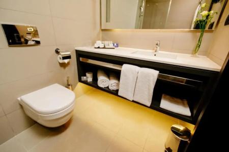 Crowne Plaza Belgrade, an IHG - 54