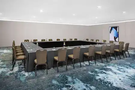 Hyatt Regency - 17