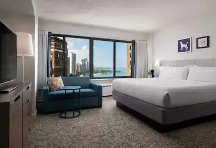 Sonesta ES Suites Chicago Downtown Magnificent Mile - 4