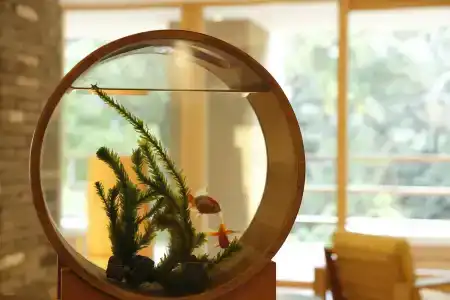 Kinnotake Tonosawa (Adult Only) - 20