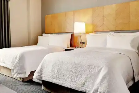 Hampton Inn Brooklyn Downtown - 4