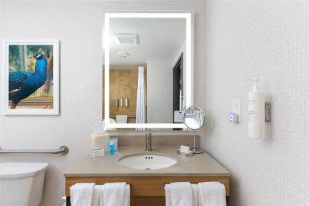 Hampton Inn Miami-Coconut Grove/Coral Gables - 49