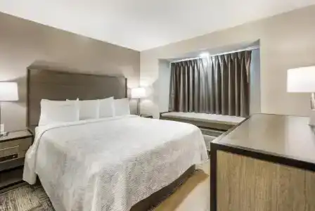 Red Roof Inn Plus+ & Suites Savannah – i-95 - 42