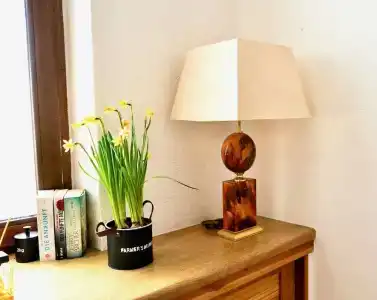 Nest - 23