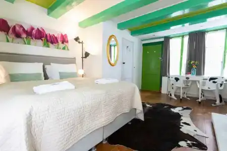 Tulip Guesthouse - 3