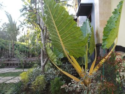 Doni House & Villas - 18