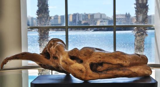 Cavalieri Art - 24