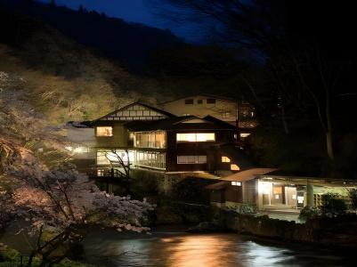Osawa Onsen Sansuikaku - 47