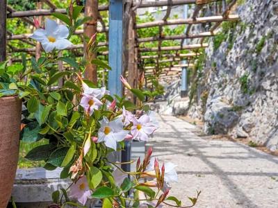 Albergo Diffuso Bacco Furore - 47