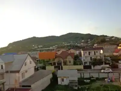 Эвкалипт - 2