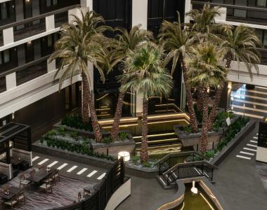 Embassy Suites by Hilton Las Vegas - 26