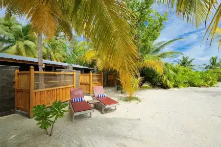 Fun Island Resort & Spa - 28