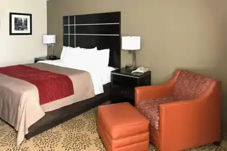 Comfort Inn - 28