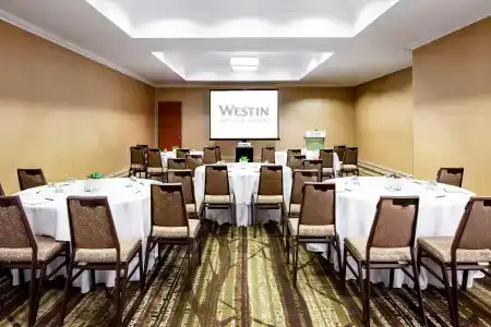 The Westin Michigan Avenue Chicago - 35
