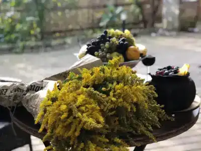 Villa la familia - 29