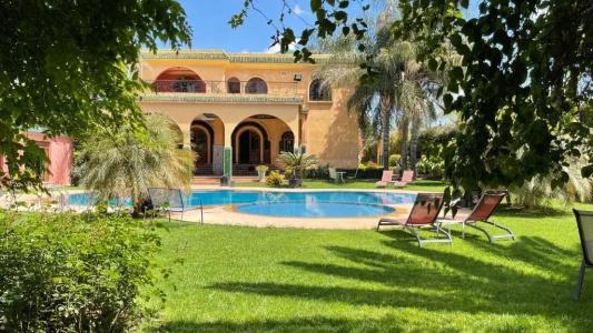 Riad Noumidya - 34