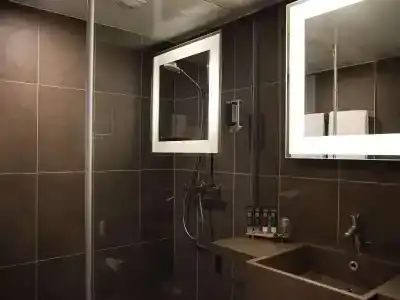 Novotel Lille Centre Grand Place - 74