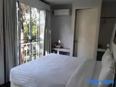 Cochet De Nimman - 50