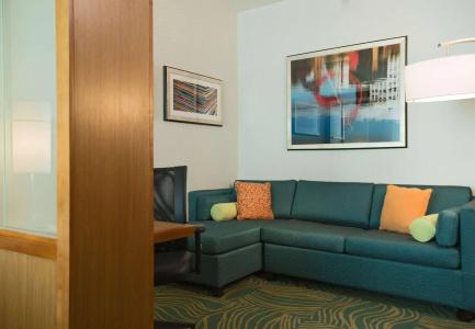SpringHill Suites by Marriott Nashville Vanderbilt/West End - 10