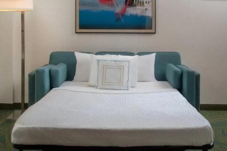 SpringHill Suites by Marriott Nashville Vanderbilt/West End - 37