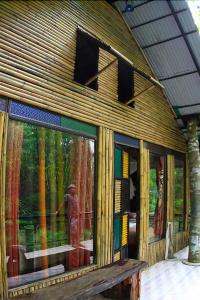 Khao sok tree house resort - 0