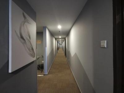 Leo Palace - 11